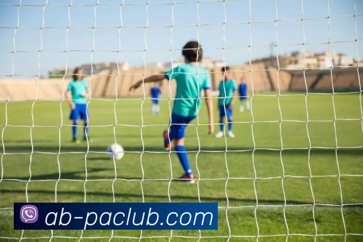 PA试玩游戏平台发展历程